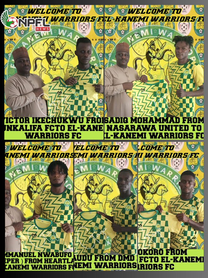 NPFL: