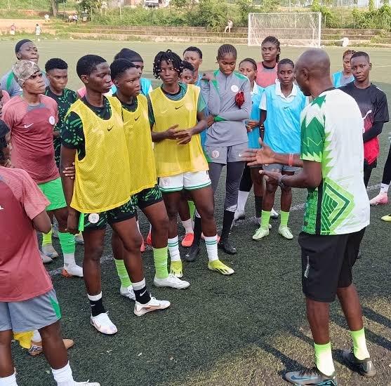 Falconets