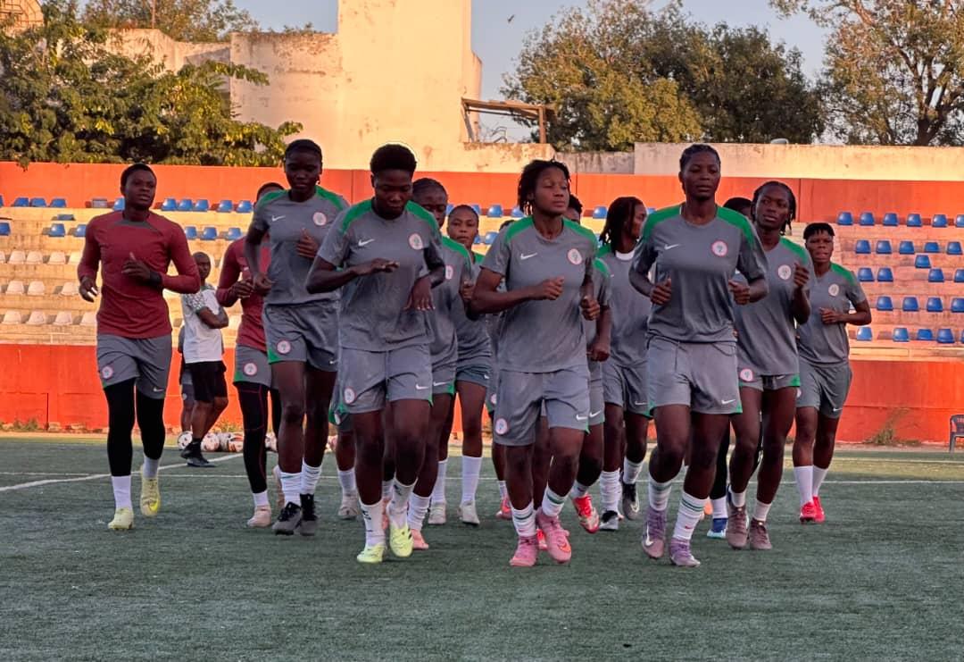 Falconets