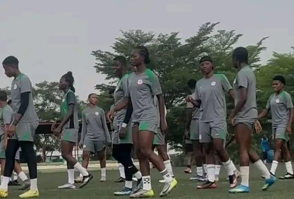 Falconets